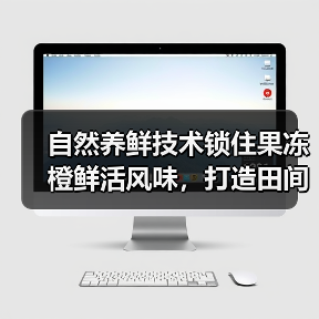 自然养鲜技术锁住果冻橙鲜活风味，打造田间到舌尖的价值链（图2）