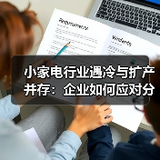 小家电行业遇冷与扩产并存:企业如何应对分化?(图4) 小家电行业遇冷与扩产并存:企业如何应对分化?(图4)