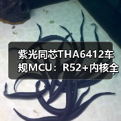 紫光同芯THA6412车规MCU：R52+内核全面升级，引领汽车控制新标准（图4）
