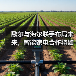 歌尔与海尔联手布局未来,智能家电合作将如何改变行业格局?(图2) 歌尔与海尔联手布局未来,智能家电合作将如何改变行业格局?(图2)
