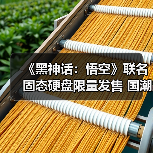 《黑神话:悟空》联名固态硬盘限量发售 国潮设计+极致性能引爆市场(图1) 《黑神话:悟空》联名固态硬盘限量发售 国潮设计+极致性能引爆市场(图1)