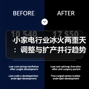 小家电行业冰火两重天：调整与扩产并行趋势凸显（图1）