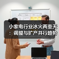 小家电行业冰火两重天：调整与扩产并行趋势凸显（图4）