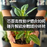 芯原高性能IP组合如何提升智能座舱域控体验?(图1) 芯原高性能IP组合如何提升智能座舱域控体验?(图1)