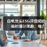 白电龙头ESG评级揭晓：美的海尔领跑，格力表现亮眼（图4）
