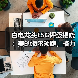 白电龙头ESG评级揭晓：美的海尔领跑，格力表现亮眼（图3）