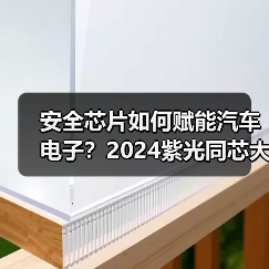 安全芯片如何赋能汽车电子?2024紫光同芯大会解析(图2) 安全芯片如何赋能汽车电子?2024紫光同芯大会解析(图2)