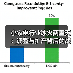 小家电行业冰火两重天:调整与扩产背后的战略博弈(图4) 小家电行业冰火两重天:调整与扩产背后的战略博弈(图4)