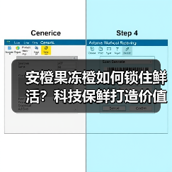 安橙果冻橙如何锁住鲜活?科技保鲜打造价值共享链(图3) 安橙果冻橙如何锁住鲜活?科技保鲜打造价值共享链(图3)