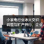 小家电行业冰火交织:调整与扩产并行,企业战略分化背后的真相(图2) 小家电行业冰火交织:调整与扩产并行,企业战略分化背后的真相(图2)