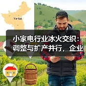 小家电行业冰火交织:调整与扩产并行,企业战略分化背后的真相(图1) 小家电行业冰火交织:调整与扩产并行,企业战略分化背后的真相(图1)