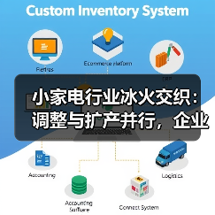 小家电行业冰火交织:调整与扩产并行,企业战略分化背后的真相(图3) 小家电行业冰火交织:调整与扩产并行,企业战略分化背后的真相(图3)