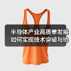 半导体产业高质量发展如何实现技术突破与协同发展(图4) 半导体产业高质量发展如何实现技术突破与协同发展(图4)