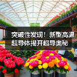 突破性发现！新型高温超导体揭开超导奥秘（图3）