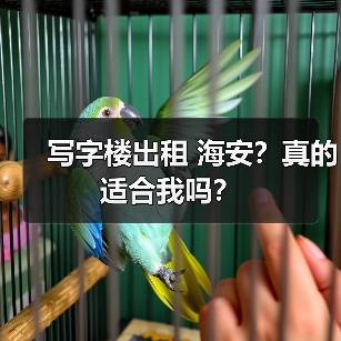 写字楼出租 海安?真的适合我吗?(图2) 写字楼出租 海安?真的适合我吗?(图2)
