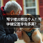 写字楼出租是个人？写字楼空置率有多高？一组数据告诉你真相（图2）