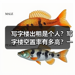 写字楼出租是个人？写字楼空置率有多高？一组数据告诉你真相（图4）