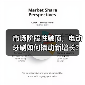 市场阶段性触顶,电动牙刷如何撬动新增长?(图4) 市场阶段性触顶,电动牙刷如何撬动新增长?(图4)