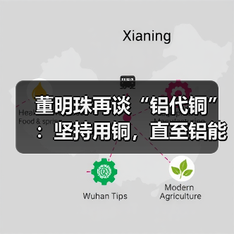 董明珠再谈“铝代铜”：坚持用铜，直至铝能完全替代（图2）