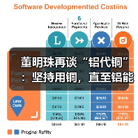 董明珠再谈“铝代铜”：坚持用铜，直至铝能完全替代（图3）