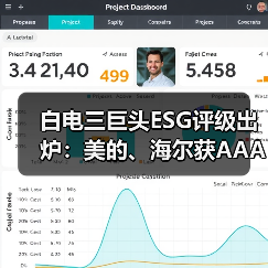 白电三巨头ESG评级出炉：美的、海尔获AAApi级，格力获AApi级（图3）