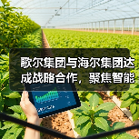歌尔集团与海尔集团达成战略合作，聚焦智能家电等领域（图1）