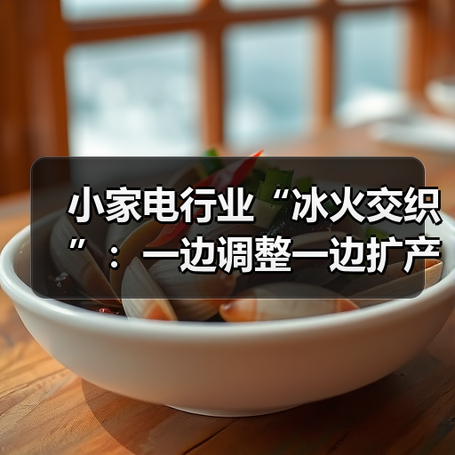 小家电行业“冰火交织”:一边调整一边扩产(图3) 小家电行业“冰火交织”:一边调整一边扩产(图3)