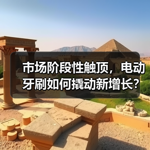 市场阶段性触顶,电动牙刷如何撬动新增长?(图1) 市场阶段性触顶,电动牙刷如何撬动新增长?(图1)