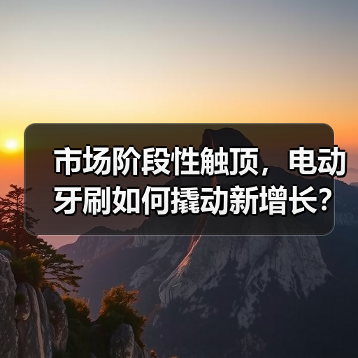 市场阶段性触顶,电动牙刷如何撬动新增长?(图3) 市场阶段性触顶,电动牙刷如何撬动新增长?(图3)
