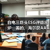 白电三巨头ESG评级出炉:美的、海尔获AAApi级,格力获AApi级(图4) 白电三巨头ESG评级出炉:美的、海尔获AAApi级,格力获AApi级(图4)