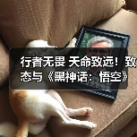 行者无畏 天命致远！致态与《黑神话：悟空》官宣合作，疾速体验游戏魅力！（图4）