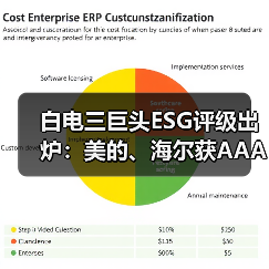 白电三巨头ESG评级出炉:美的、海尔获AAApi级,格力获AApi级(图4) 白电三巨头ESG评级出炉:美的、海尔获AAApi级,格力获AApi级(图4)