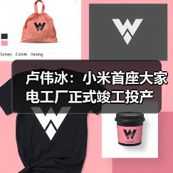 卢伟冰:小米首座大家电工厂正式竣工投产(图4) 卢伟冰:小米首座大家电工厂正式竣工投产(图4)