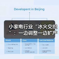小家电行业“冰火交织”:一边调整一边扩产(图2) 小家电行业“冰火交织”:一边调整一边扩产(图2)