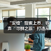 “安橙”甜蜜上市,容声“寻鲜之旅”打造从田间到舌尖的价值共享链(图4) “安橙”甜蜜上市,容声“寻鲜之旅”打造从田间到舌尖的价值共享链(图4)
