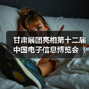 甘肃展团亮相第十二届中国电子信息博览会（CITE2024）（图4）
