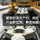 聚焦新质生产力，共绘产业新蓝图，新质南翼·新极未来发展大会成功举办（图4）