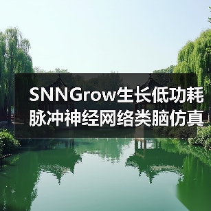 SNNGrow生长低功耗脉冲神经网络类脑仿真和训练框架 开源发布（图1）
