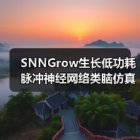 SNNGrow生长低功耗脉冲神经网络类脑仿真和训练框架 开源发布（图2）