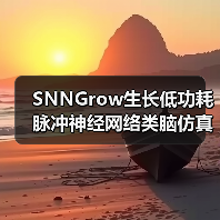 SNNGrow生长低功耗脉冲神经网络类脑仿真和训练框架 开源发布（图3）