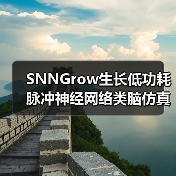 SNNGrow生长低功耗脉冲神经网络类脑仿真和训练框架 开源发布（图4）