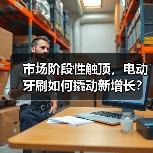 市场阶段性触顶,电动牙刷如何撬动新增长?(图2) 市场阶段性触顶,电动牙刷如何撬动新增长?(图2)