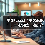 小家电行业“冰火交织”:一边调整一边扩产(图1) 小家电行业“冰火交织”:一边调整一边扩产(图1)