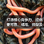 打造核心竞争力,提供更可靠、精准、微型及超低功耗定时功能解决方案(图1) 打造核心竞争力,提供更可靠、精准、微型及超低功耗定时功能解决方案(图1)