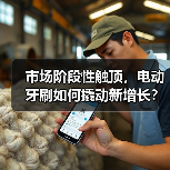 市场阶段性触顶,电动牙刷如何撬动新增长?(图3) 市场阶段性触顶,电动牙刷如何撬动新增长?(图3)