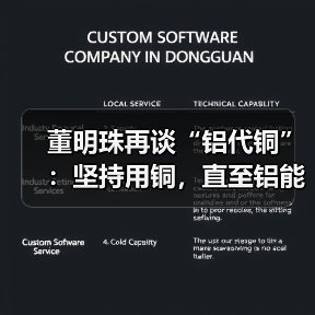 董明珠再谈“铝代铜”：坚持用铜，直至铝能完全替代（图2）