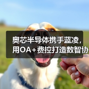 奥芯半导体携手蓝凌，用OA+费控打造数智协同平台（图1）