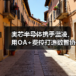奥芯半导体携手蓝凌，用OA+费控打造数智协同平台（图4）