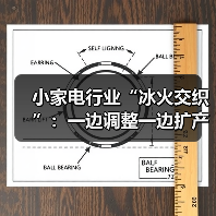 小家电行业“冰火交织”:一边调整一边扩产(图4) 小家电行业“冰火交织”:一边调整一边扩产(图4)