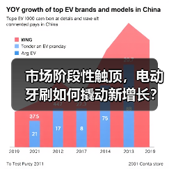 市场阶段性触顶,电动牙刷如何撬动新增长?(图4) 市场阶段性触顶,电动牙刷如何撬动新增长?(图4)